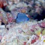 ネタが豊富ですね！！