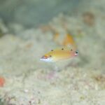フォト合宿最終日。